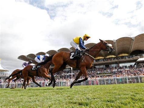 best glorious goodwood betting sites